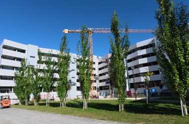 Avance de obras del Edificio Dahlia Park